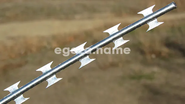 Price List for Razor Wire and Concertina Wire