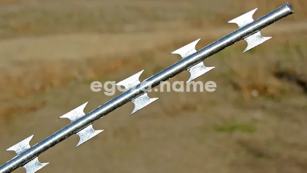Barbed Wire "Egoza-Super"
